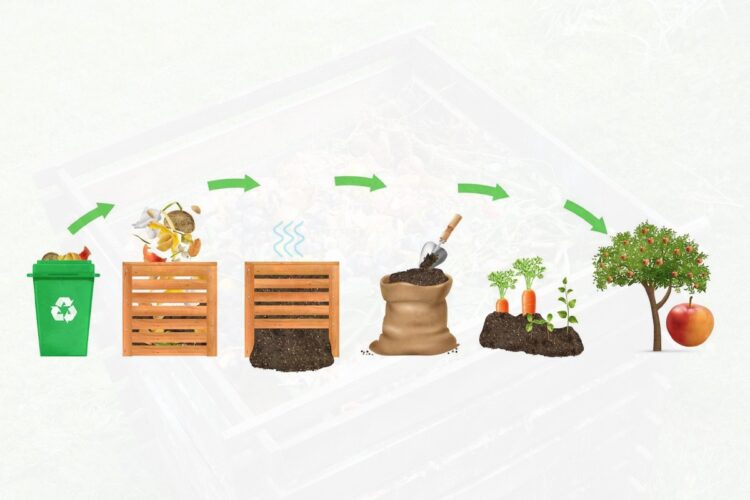 A Journey into the Heart of Collective Composting